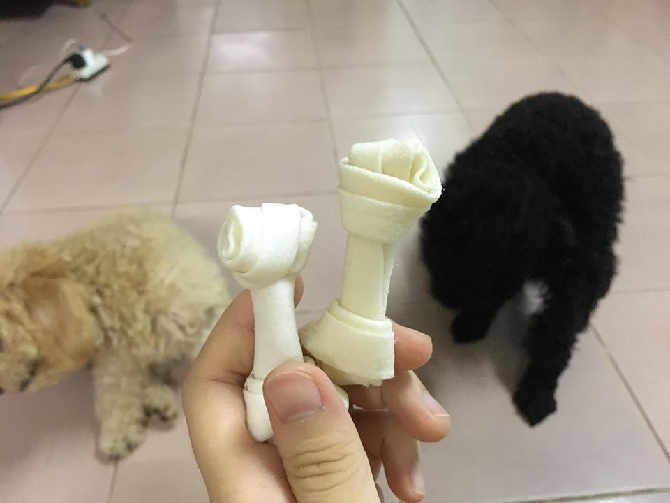 Xương sữa (2 chiếc) - Ảnh 4