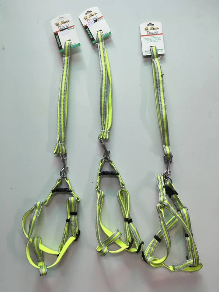 Dây dắt phản quang bản 1,5cm