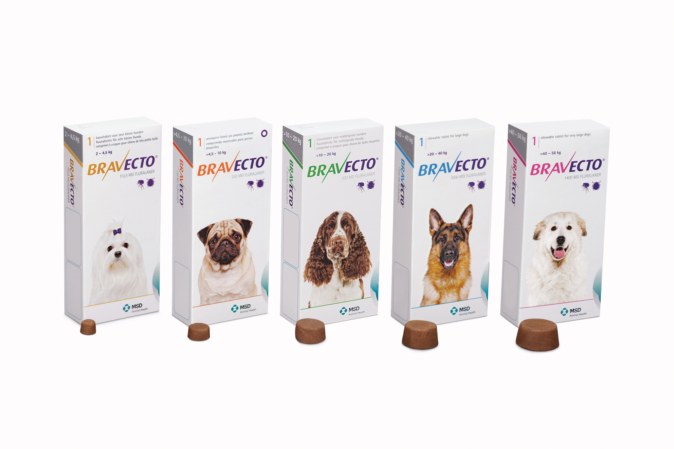 Bravecto - thuốc trị ký sinh trùng cho chó từ 10-20kg - Ảnh 2