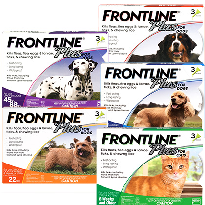 Nhỏ gáy Frontline Plus - Ảnh 2