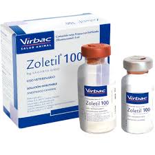 Thuốc gây mê zoletil 100 cho chó mèo. sỉ /lẻ - Ảnh 2